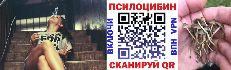 Псилоцибиновые грибы Psilocybine cubensis  купить закладку  Цивильск 